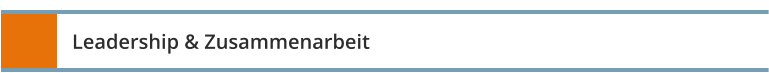 Leadership & Zusammenarbeit